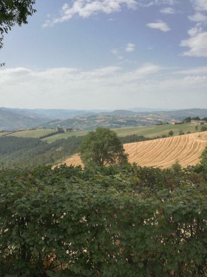 La Furbera B&B Marano sul Panaro Exterior foto